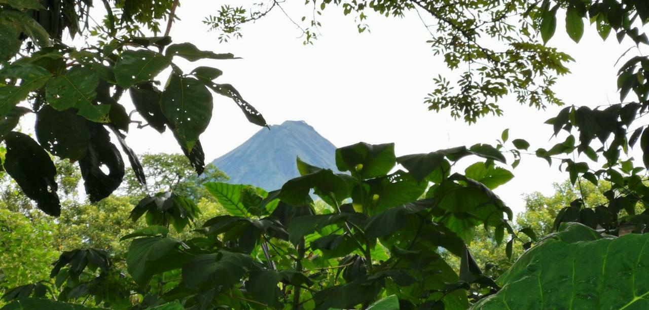 Hotel Campestre Arenal La Fortuna Exterior photo